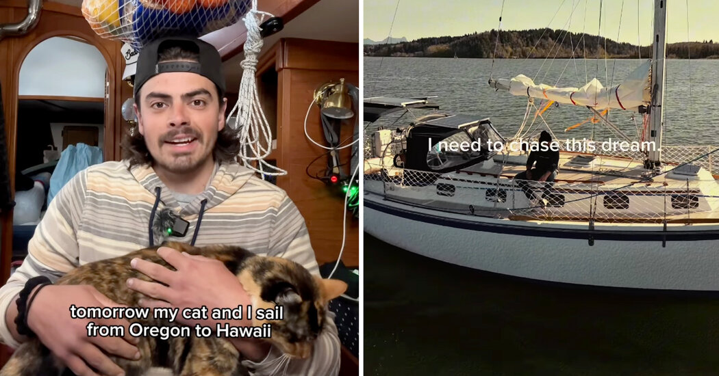 Sailing to Hawaii, With a Cat and Minimal Experience